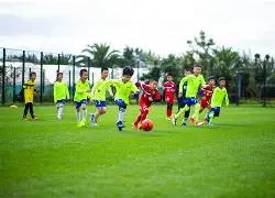 中信证券改,革举措详解,od体育,OD体育官网,APP下载,注册领彩金,官方网站,网站入口