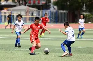 Android,集成秘籍,招助你轻松,OD体育官网,APP下载,注册领彩金,官方网站,网站入口