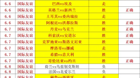 2026世界杯备战秘籍od体育入口：普利希奇与麦肯尼的黄金搭档